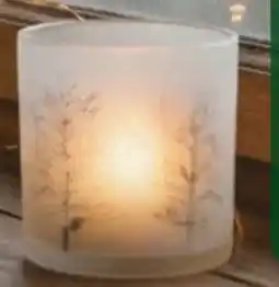 Globus Baumarkt Deko-Windlicht Angebot