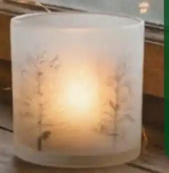 Globus Baumarkt Deko-Windlicht Angebot