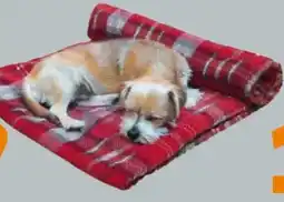 Globus Baumarkt Fleece-Decke Kareli Angebot