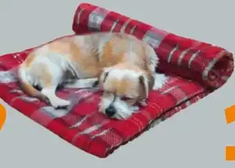 Globus Baumarkt Fleece-Decke Kareli Angebot