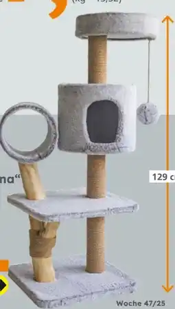 Globus Baumarkt Katzenkratzbaum Runa Angebot
