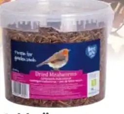 Globus Baumarkt CJ Wildlife Mehlwürmer Angebot