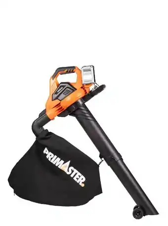 Globus Baumarkt Primaster Laubsauger-bläser PMALS 20 TwinPower Angebot