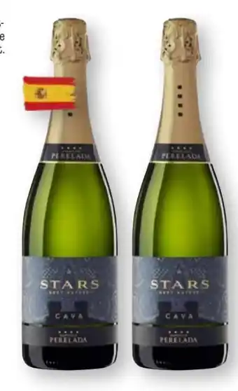 Scheck-in-Center Castillo de Perelada Cava Stars Angebot