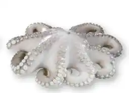 Scheck-in-Center Pulpo-Blume Angebot