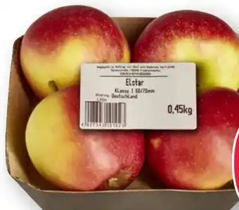 Scheck-in-Center Äpfel Elstar Angebot