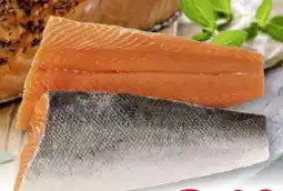 Scheck-in-Center Lachsfilet Angebot