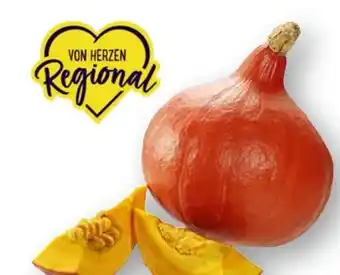 Scheck-in-Center Hokkaido Kürbis Angebot