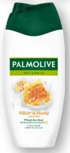 Scheck-in-Center Palmolive Dusche Angebot