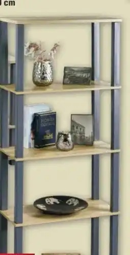 Scheck-in-Center Kesper Regal Angebot