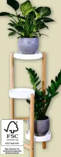 Edeka Kesper Blumenständer Angebot