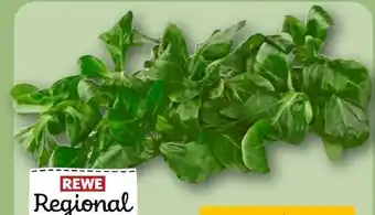 REWE Rewe Regional Feldsalat Angebot