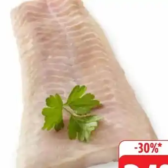 Edeka Steinbeißerfilet Angebot