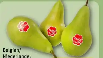 REWE Migo Grüne Tafelbirnen Angebot