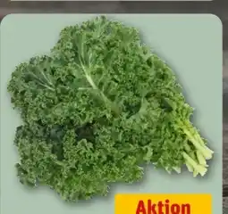 REWE Center Grünkohl Angebot