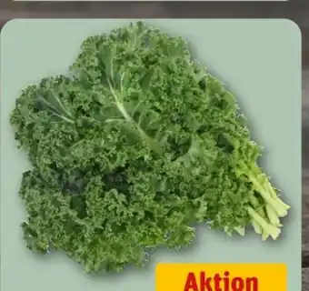 REWE Center Grünkohl Angebot