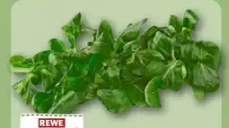 REWE Center Rewe Regional Feldsalat Angebot