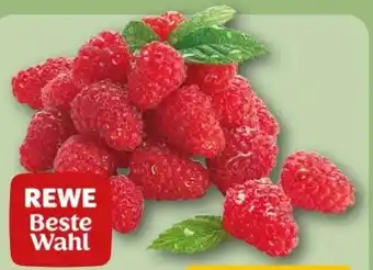 REWE Center Rewe Beste Wahl Frische Himbeeren Angebot