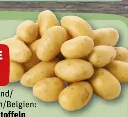 REWE Rewe Beste Wahl Speisekartoffeln Die Feinen Angebot