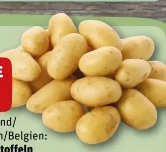 REWE Rewe Beste Wahl Speisekartoffeln Die Feinen Angebot