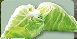 REWE Rewe Regional Spitzkohl Angebot