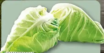 REWE Rewe Regional Spitzkohl Angebot