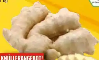 EDEKA Bandelt Bio Ingwer Angebot