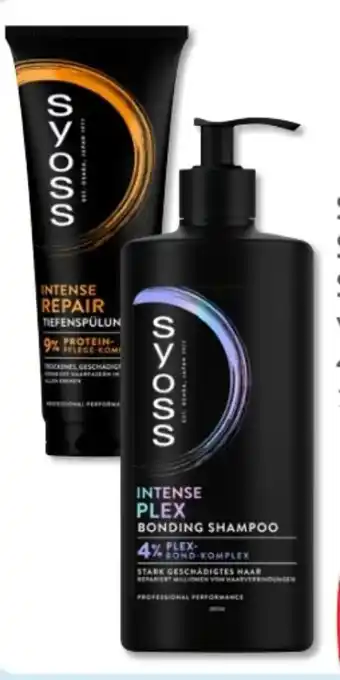 Budni Schwarzkopf Syoss Shampoo Angebot