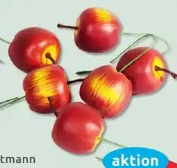 Budni Heitmann Deco Dekoschnee Angebot