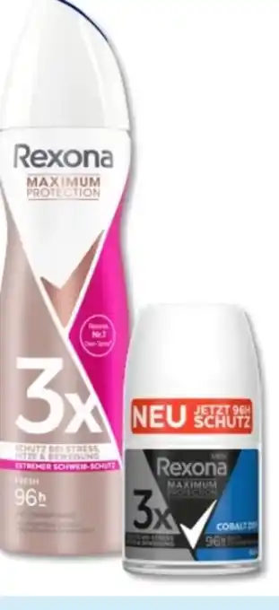 Budni Rexona Maximum Protection Deospray Angebot