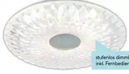 Hellweg Flector Technik LED-Deckenleuchte Kristall Angebot