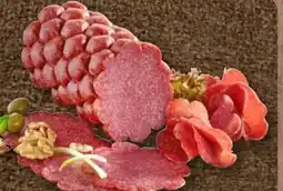 nahkauf Schulte Edelsalami Angebot