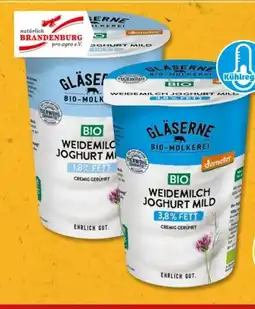 PENNY Gläserne Molkerei Bio-Weidemilch Joghurt Angebot