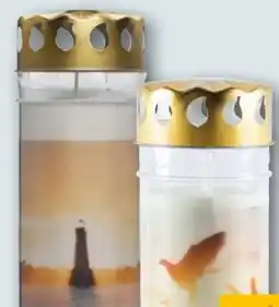 REWE Grablichte Angebot