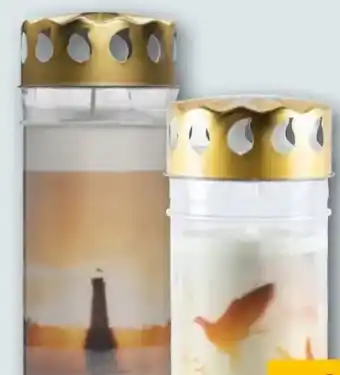 REWE Grablichte Angebot