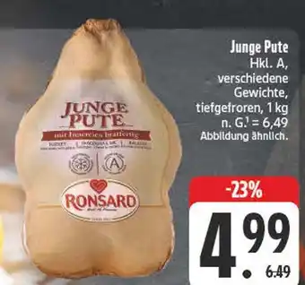 Edeka Ronsard junge pute Angebot