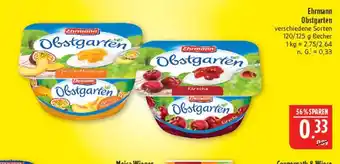 Marktkauf Ehrmann obstgarten Angebot