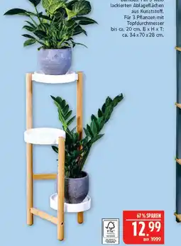 Marktkauf Bambus pflanzenständer Angebot