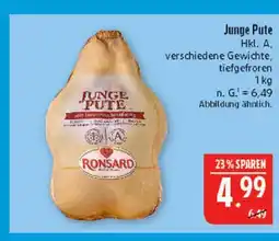 Marktkauf Ronsard junge pute Angebot