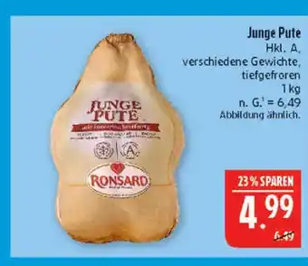 Marktkauf Ronsard junge pute Angebot