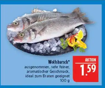 Marktkauf Wolfsbarsch Angebot