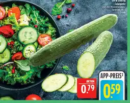 Marktkauf Gut & günstig salatgurke Angebot