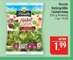 Marktkauf Florette herbstgefühle salatmischung Angebot