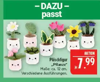 Marktkauf Plüschfigur pflanze Angebot