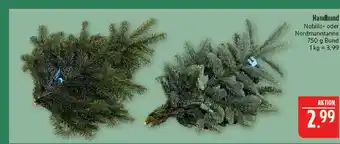 Marktkauf Nobilis tanne Angebot