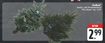 E-Center Handbund nobilis- oder nordmanntanne Angebot