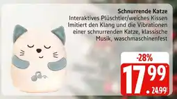 Marktkauf Schnurrende katze Angebot
