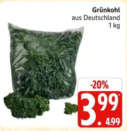Marktkauf Grünkohl Angebot