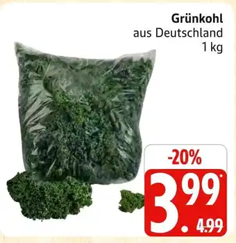 Marktkauf Grünkohl Angebot