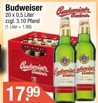 Getränke City Budweiser budweiser Angebot